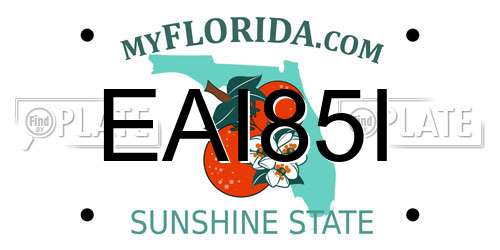 EAI85I Florida License Plate
