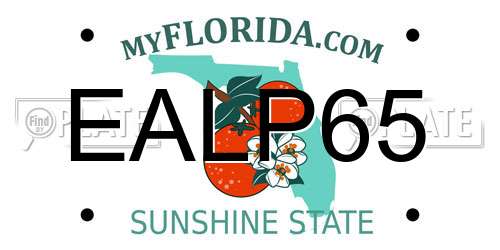 EALP65 Florida License Plate