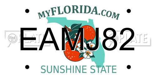 EAMJ82 Florida License Plate