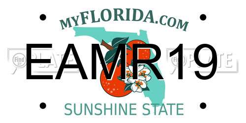 EAMR19 Florida License Plate
