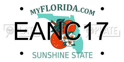 EANC17 Florida License Plate