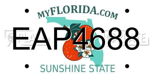 EAP4688 Florida License Plate
