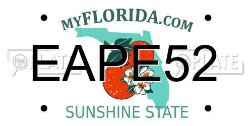 EAPE52 Florida License Plate