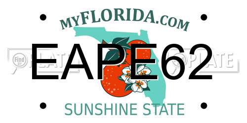 EAPE62 Florida License Plate