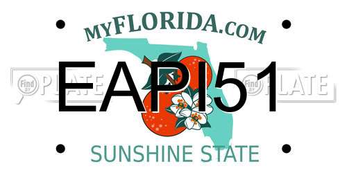 EAPI51 Florida License Plate
