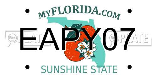 EAPY07 Florida License Plate