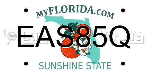 EAS85Q Florida License Plate