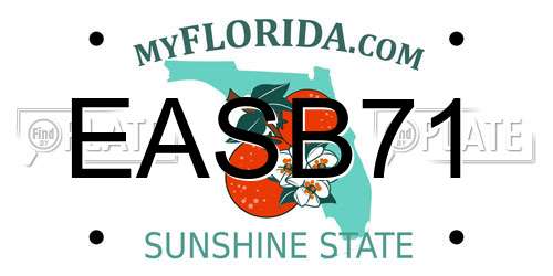 EASB71 Florida License Plate