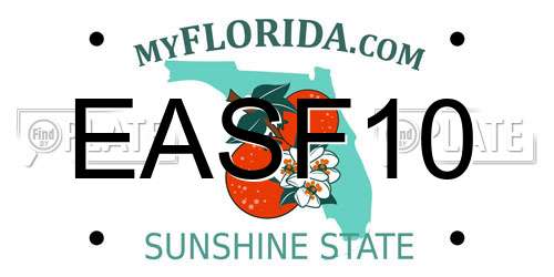 EASF10 Florida License Plate