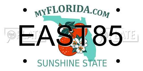 EAST85 Florida License Plate