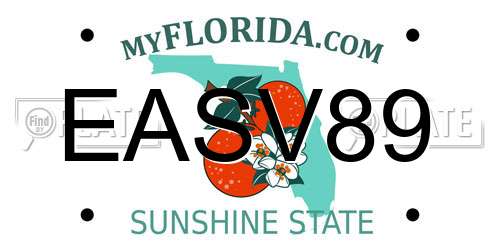 EASV89 Florida License Plate