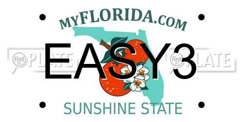 EASY3 Florida License Plate