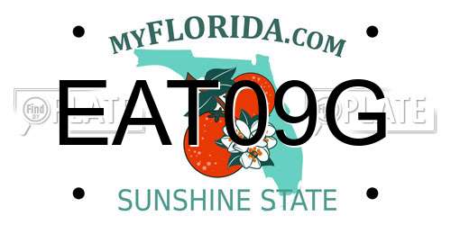 EAT09G Florida License Plate