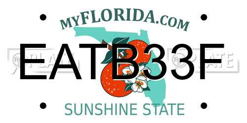 EATB33F Florida License Plate