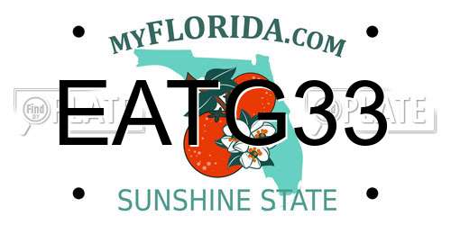 EATG33 Florida License Plate