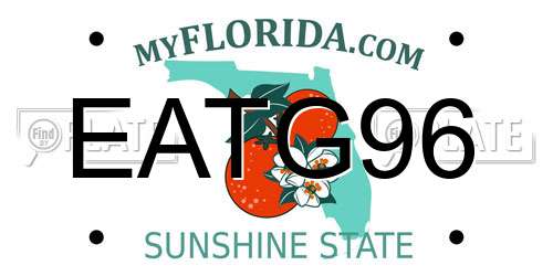 EATG96 Florida License Plate