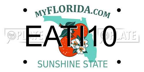 EATI10 Florida License Plate