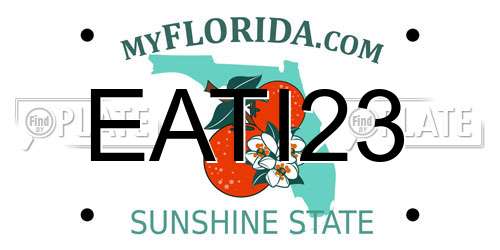 EATI23 Florida License Plate