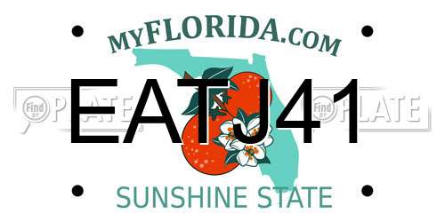 EATJ41 Florida License Plate