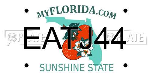 EATJ44 Florida License Plate