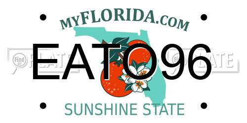 EATO96 Florida License Plate