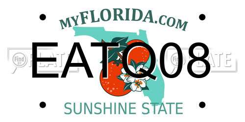 EATQ08 Florida License Plate