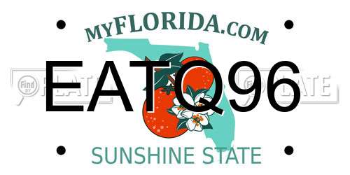 EATQ96 Florida License Plate