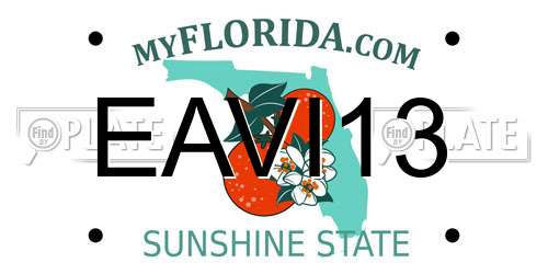 EAVI13 Florida License Plate