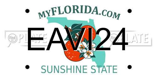 EAVI24 Florida License Plate