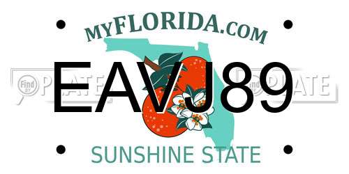 EAVJ89 Florida License Plate