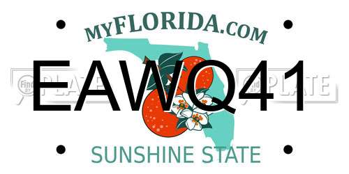 EAWQ41 Florida License Plate