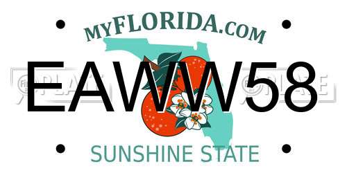EAWW58 Florida License Plate