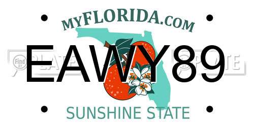 EAWY89 Florida License Plate