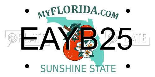 EAYB25 Florida License Plate
