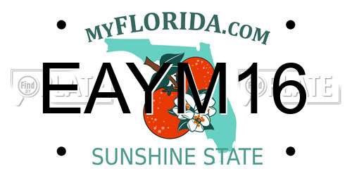 EAYM16 Florida License Plate