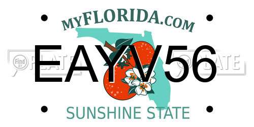 EAYV56 Florida License Plate