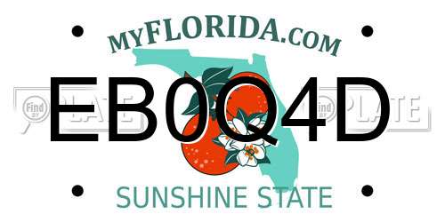 EB0Q4D Florida License Plate