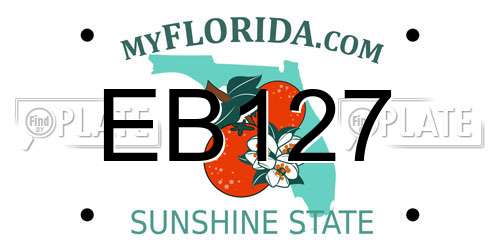 EB127 Florida License Plate