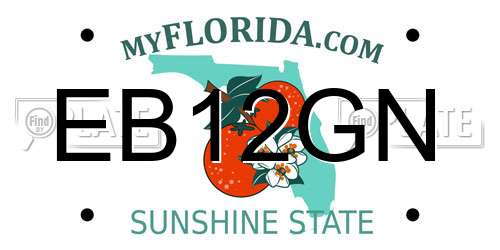 EB12GN Florida License Plate