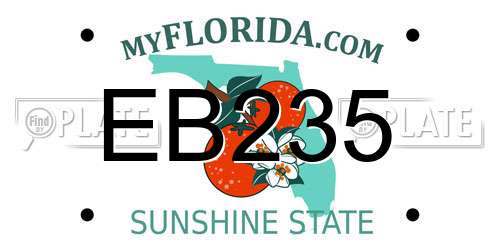 EB235 Florida License Plate