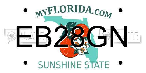 EB28GN Florida License Plate
