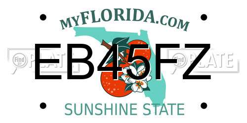 EB45FZ Florida License Plate