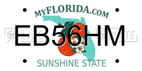 EB56HM Florida License Plate