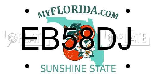 EB58DJ Florida License Plate