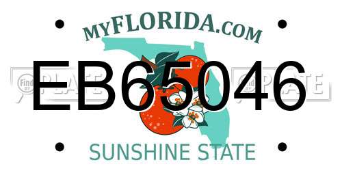 EB65046 Florida License Plate