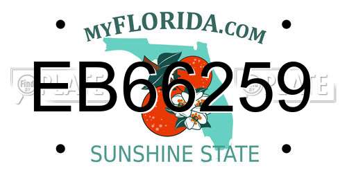 EB66259 Florida License Plate