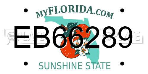 EB66289 Florida License Plate