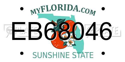 EB68046 Florida License Plate