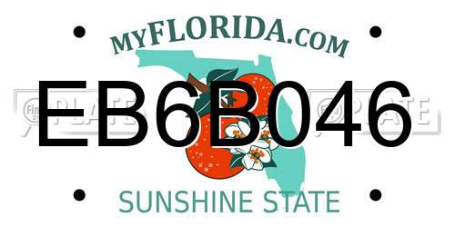EB6B046 Florida License Plate