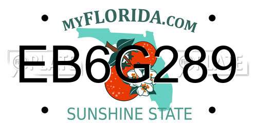 EB6G289 Florida License Plate